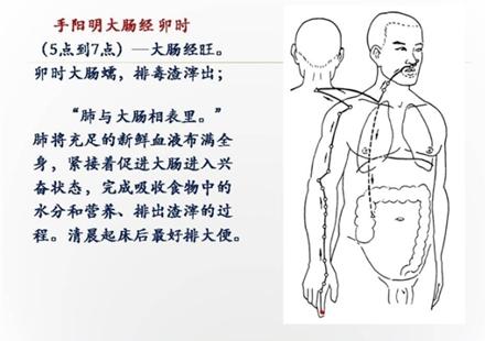 手阳明大肠经